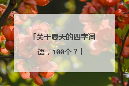 关于夏天的四字词语，100个？