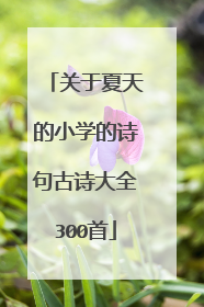 关于夏天的小学的诗句古诗大全300首