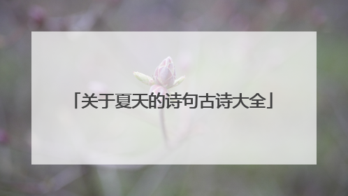 关于夏天的诗句古诗大全