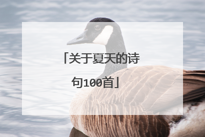 关于夏天的诗句100首