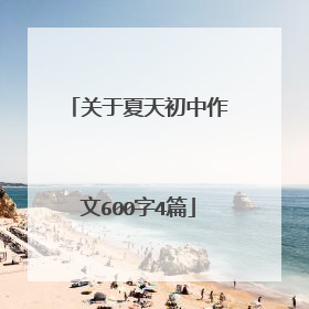 关于夏天初中作文600字4篇