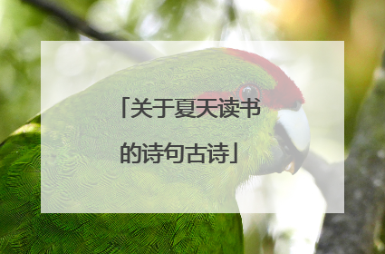 关于夏天读书的诗句古诗