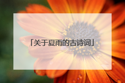关于夏雨的古诗词