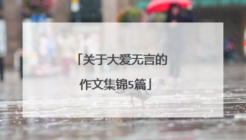 关于大爱无言的作文集锦5篇
