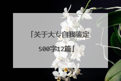 关于大专自我鉴定500字12篇