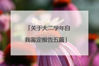 关于大二学年自我鉴定报告五篇