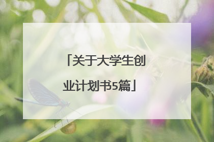 关于大学生创业计划书5篇