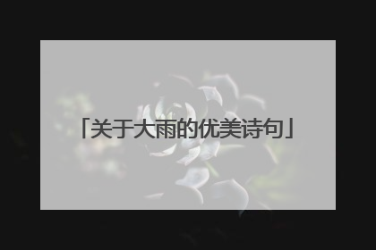 关于大雨的优美诗句