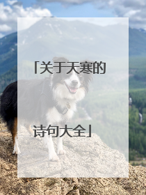 关于天寒的诗句大全