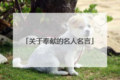 关于奉献的名人名言