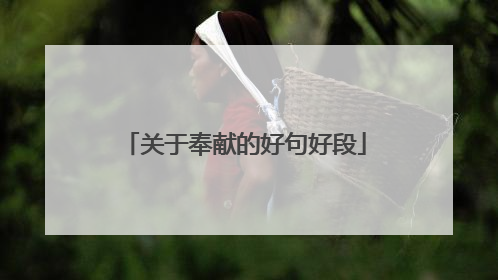 关于奉献的好句好段