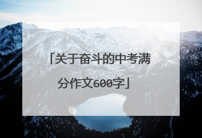 关于奋斗的中考满分作文600字