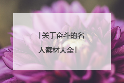 关于奋斗的名人素材大全