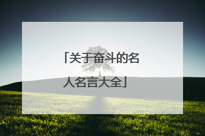 关于奋斗的名人名言大全