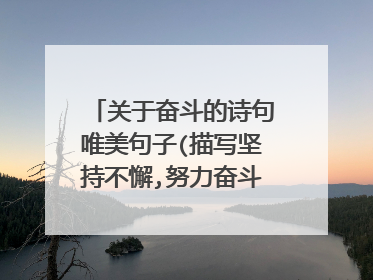 关于奋斗的诗句唯美句子(描写坚持不懈,努力奋斗的诗句有哪些)