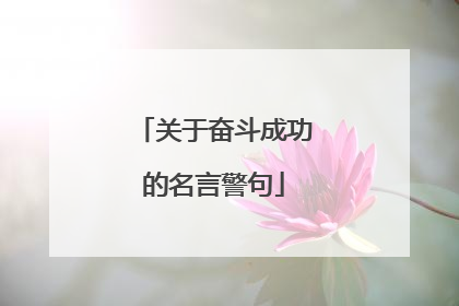 关于奋斗成功的名言警句