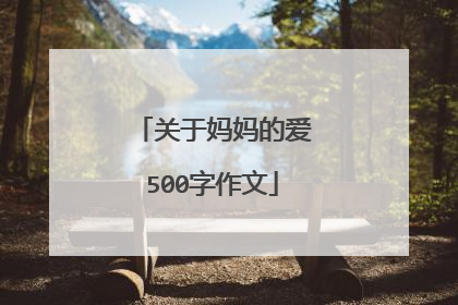 关于妈妈的爱500字作文
