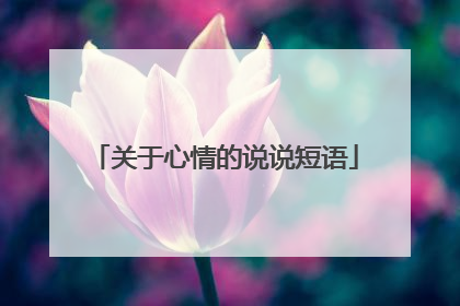 关于心情的说说短语