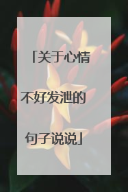 关于心情不好发泄的句子说说