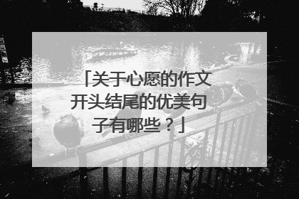 关于心愿的作文开头结尾的优美句子有哪些?