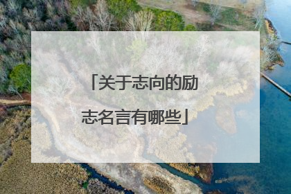 关于志向的励志名言有哪些