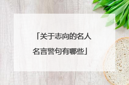 关于志向的名人名言警句有哪些