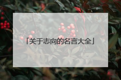 关于志向的名言大全