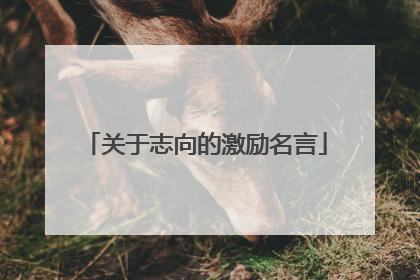 关于志向的激励名言