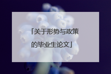 关于形势与政策的毕业生论文