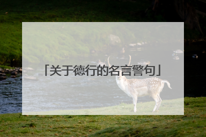 关于德行的名言警句