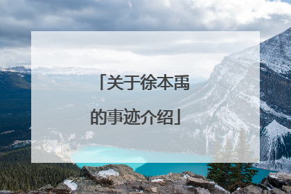 关于徐本禹的事迹介绍
