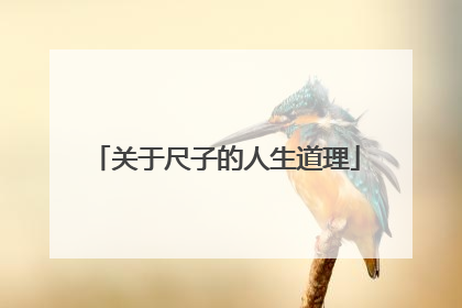 关于尺子的人生道理