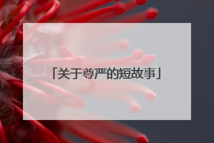关于尊严的短故事