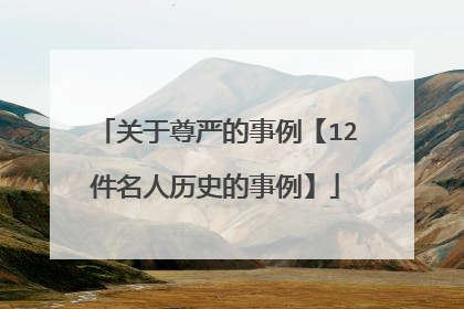 关于尊严的事例【12件名人历史的事例】