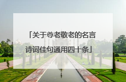 关于尊老敬老的名言诗词佳句通用四十条