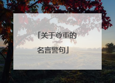 关于尊重的名言警句