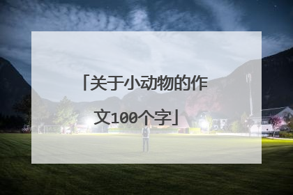 关于小动物的作文100个字