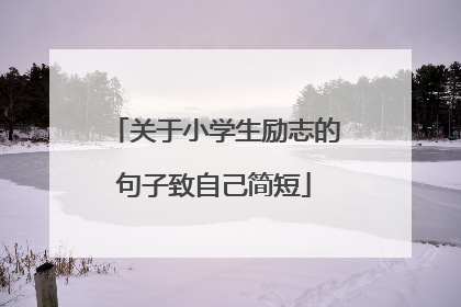 关于小学生励志的句子致自己简短