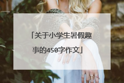 关于小学生暑假趣事的450字作文