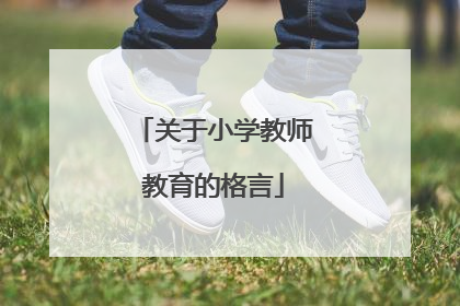 关于小学教师教育的格言