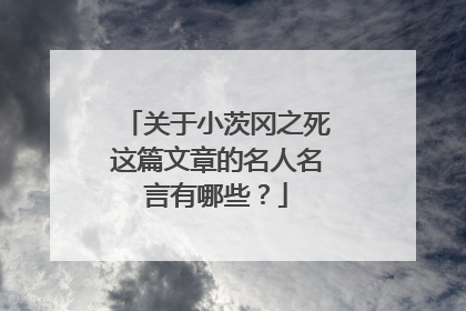 关于小茨冈之死这篇文章的名人名言有哪些？