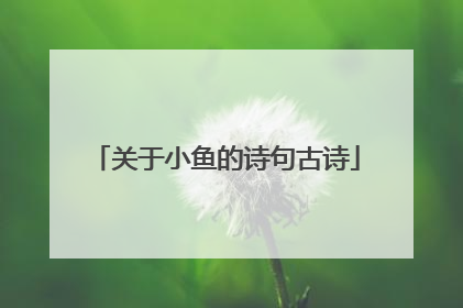 关于小鱼的诗句古诗