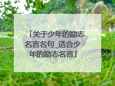 关于少年的励志名言名句_适合少年的励志名言