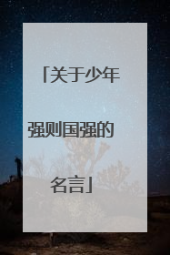 关于少年强则国强的名言