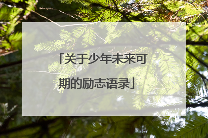 关于少年未来可期的励志语录