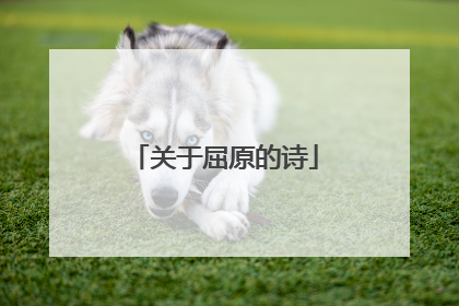 关于屈原的诗