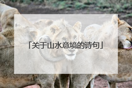 关于山水意境的诗句