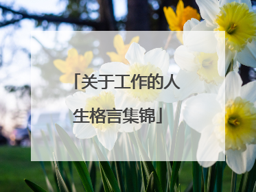 关于工作的人生格言集锦