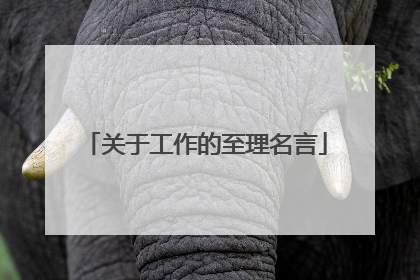 关于工作的至理名言