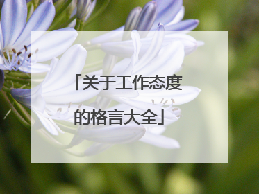 关于工作态度的格言大全